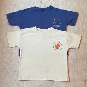 Zara Blue and Cream Kids Embroidered T-Shirts